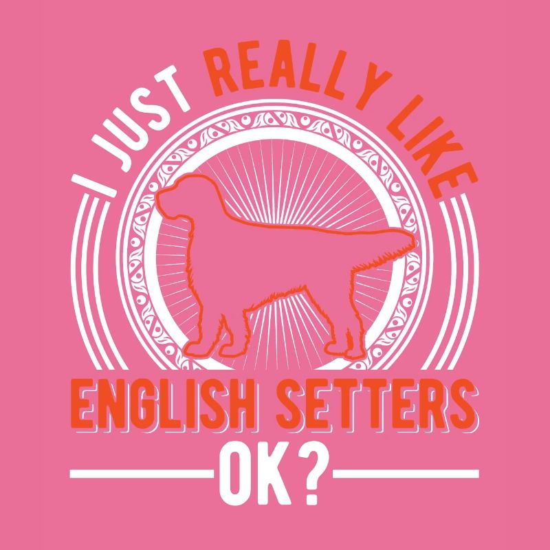Setter anglais Englischer Setter