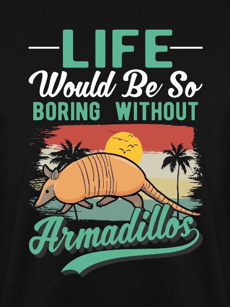Armadillo Gift Armadillo