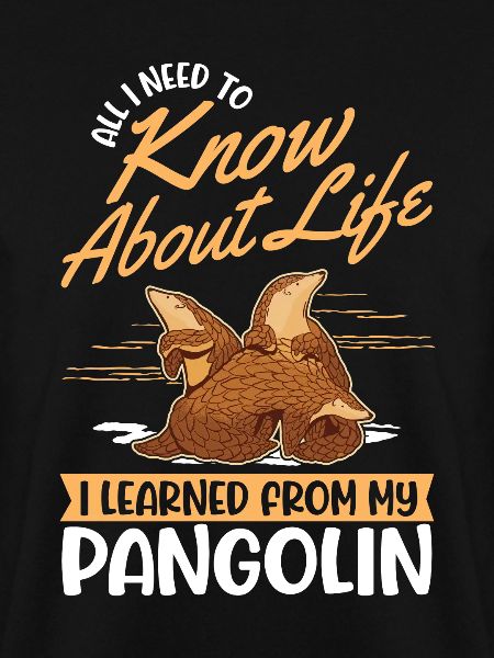 Pangolin Gift Pangolin