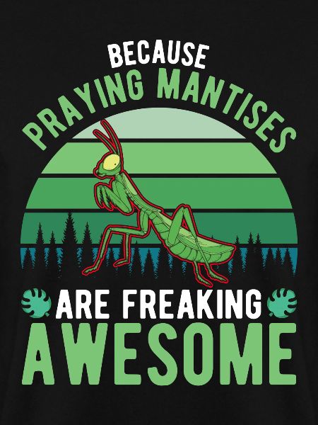 Praying Mantis Mantis Mantis