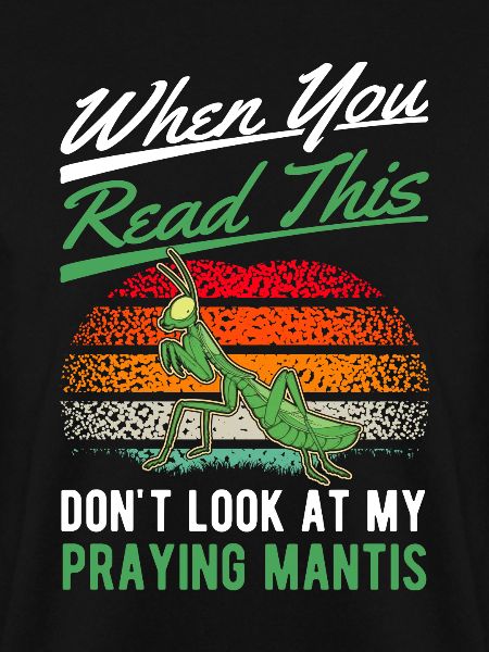 Gottesanbeterin Geschenk Mantis Fangschrecke