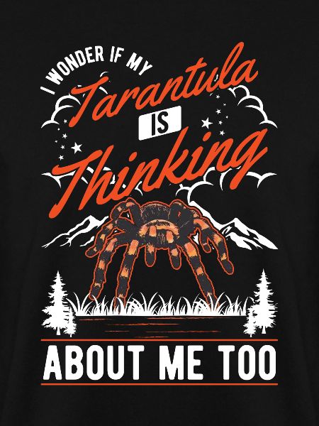 Tarantel Spinne Tarantula