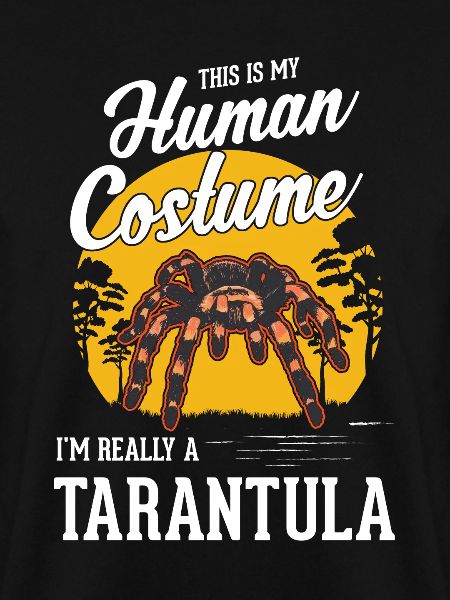 Tarantel Halloween Spinne Tarantula
