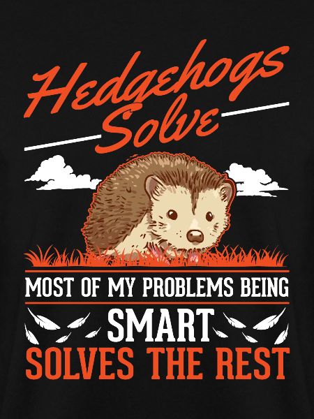 Hedgehog Gift Spiny Hedgehog