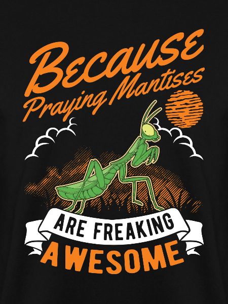 Praying mantis mantis mantis
