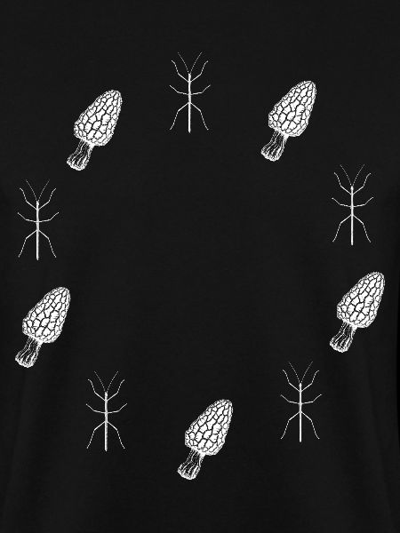 Stabheuschrecke & Morchel - Naturmotiv