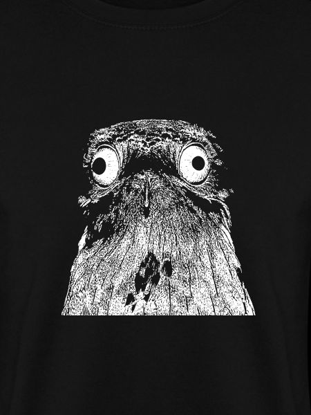 Potoo - Fugl
