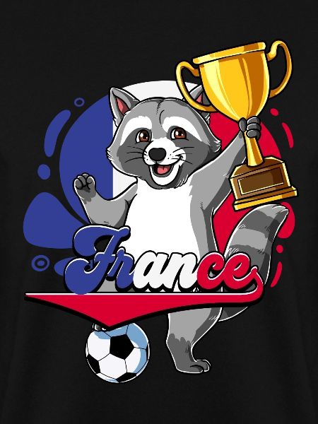 Frankreich Fußball
