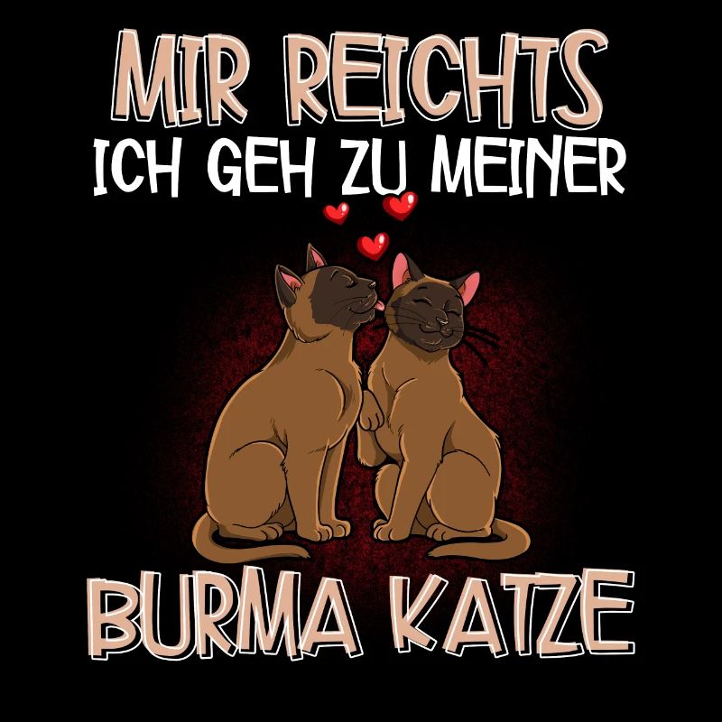 Burma Katze
