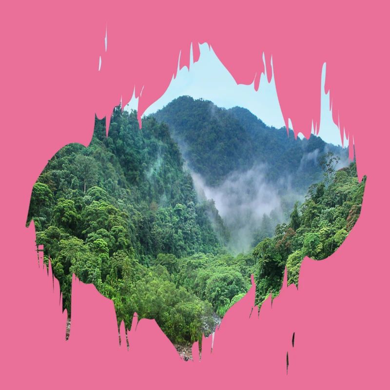 Regenwald Urwald Amazonas Farbfleck Geschenk