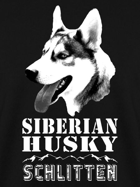 Sibirischer Husky mit Alpenlandschaft - Schlitten