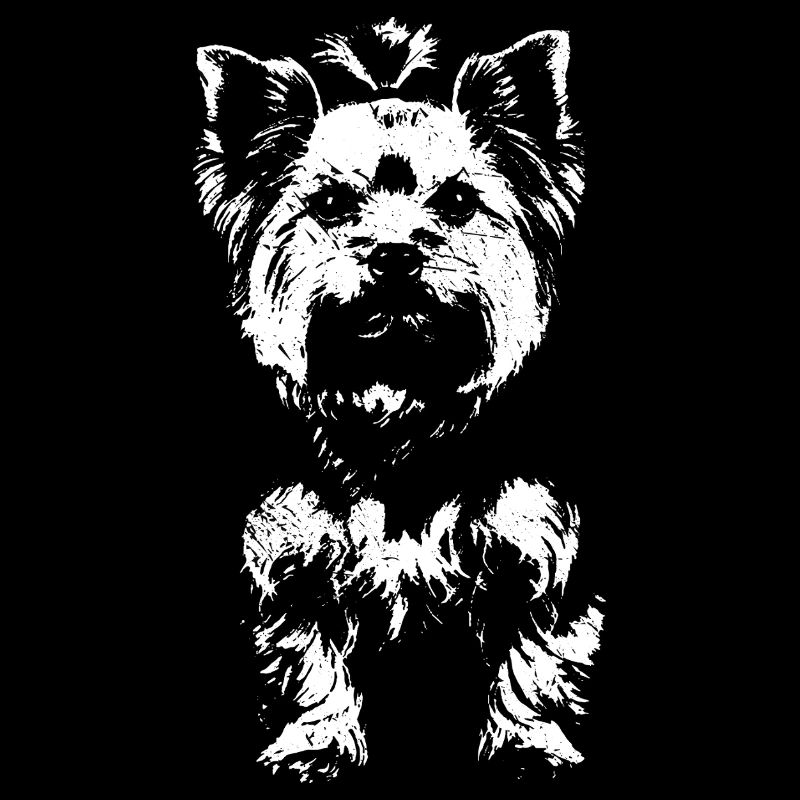 Ursprünglicher Yorkshire Terrier – Yorkie Lover