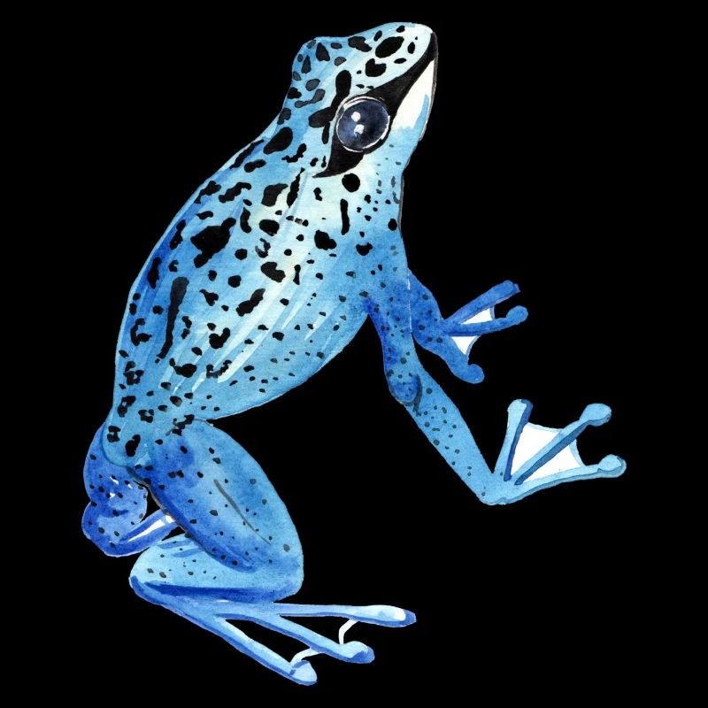 Frosch