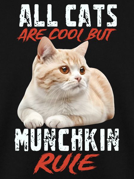 Munchkin