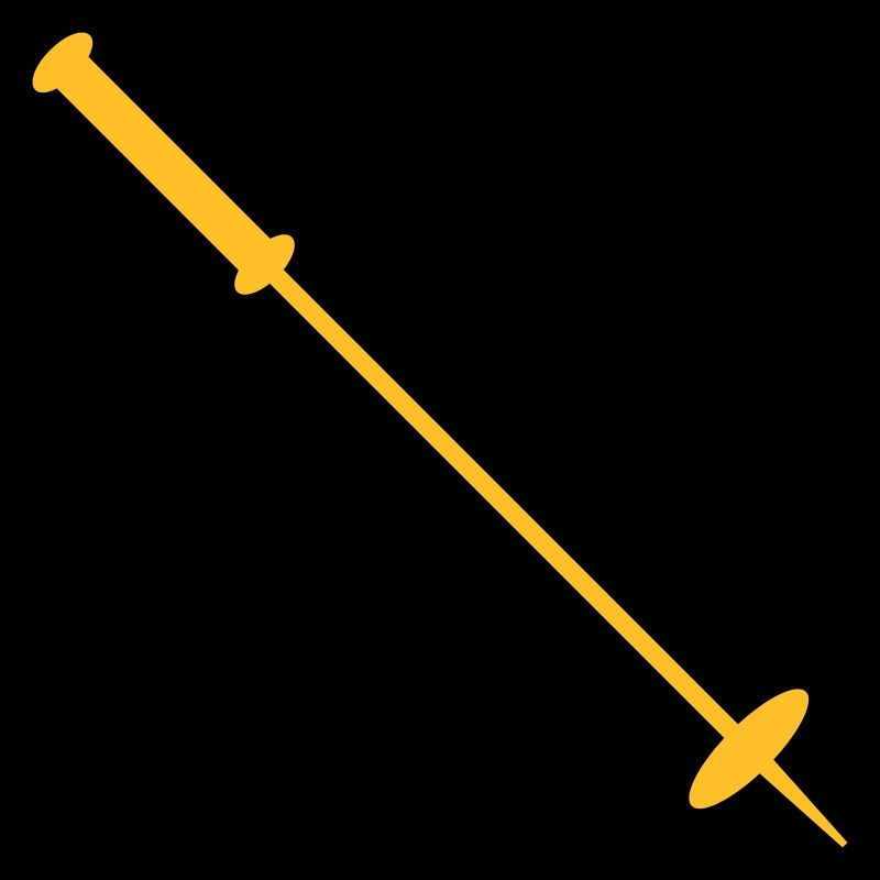 Bâton de ski