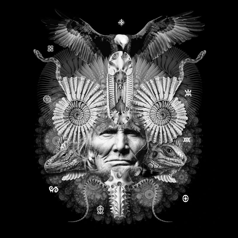 Chaman psychédélique