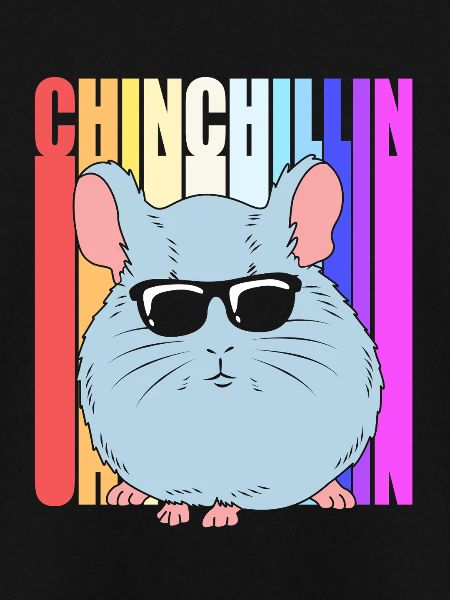 Chinchilla