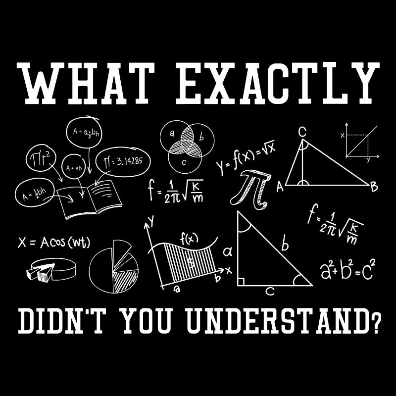 What Exactly Didn't You Understand