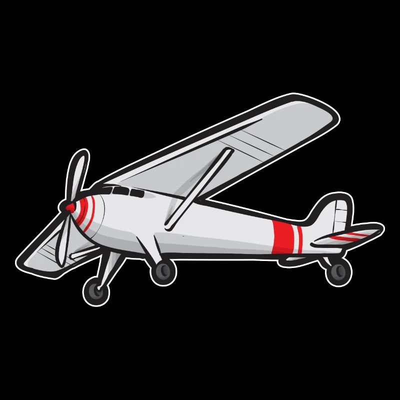 Remote Controlled Airplane Model Airplane