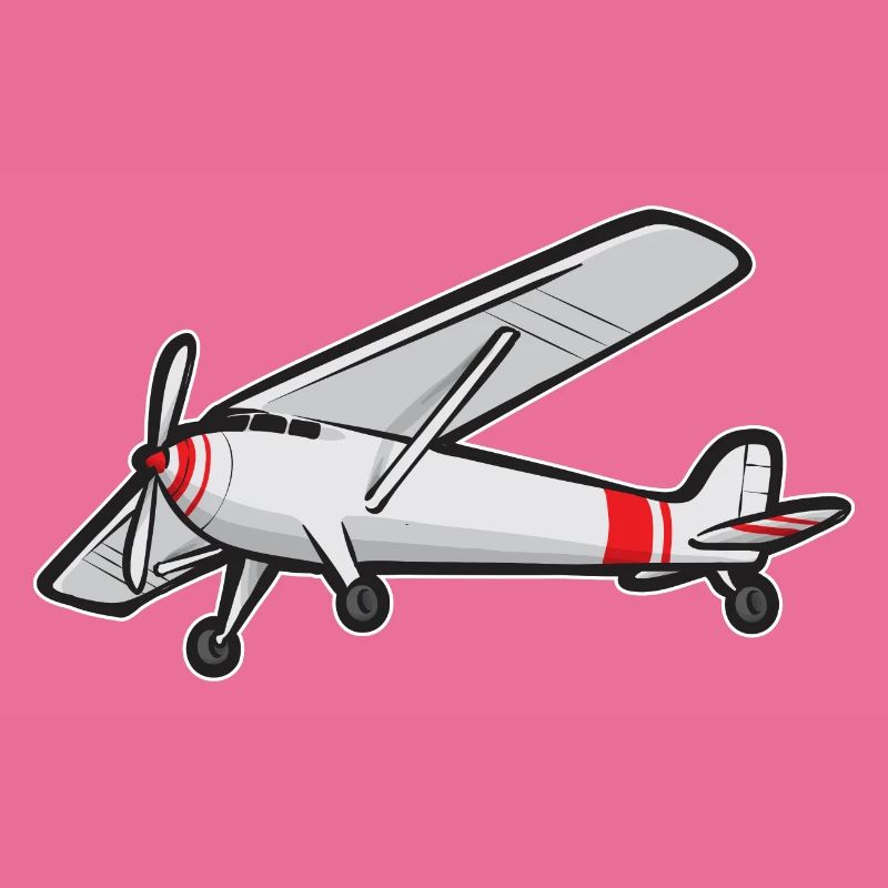 Modèle d’avion télécommandé