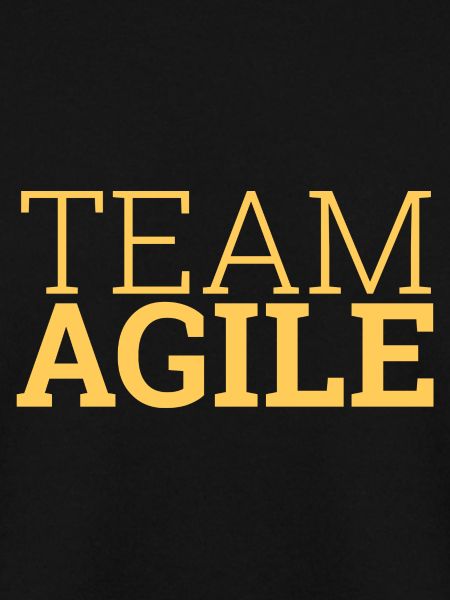"Team Agile" | "Scrum Master"