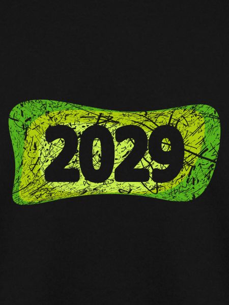 2029