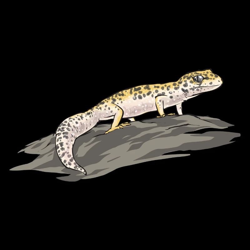 Leopardgecko Reptil Haustier Gecko