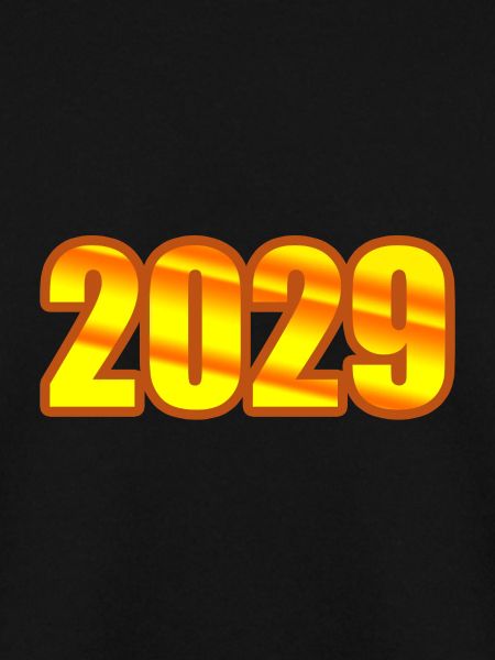 2029 2029