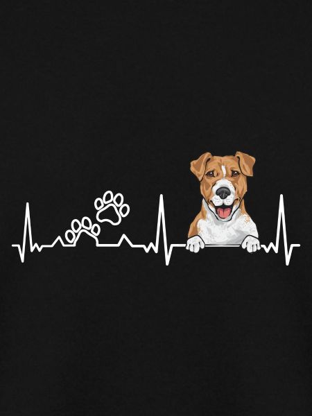 Jack Russell Terrier