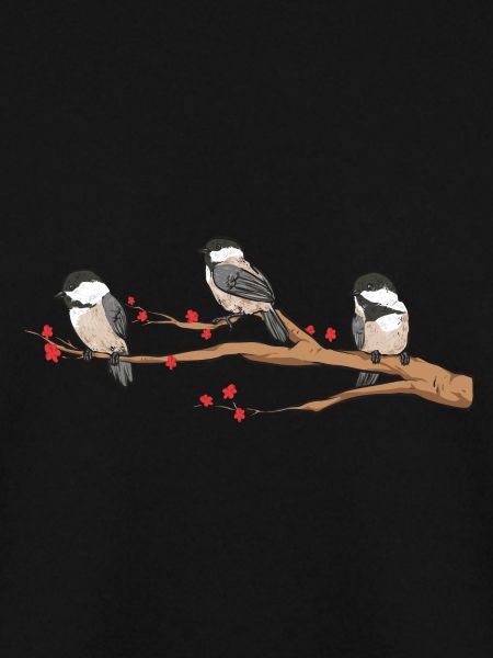 Meise Vogel Chickadee Vogelbeobachtung
