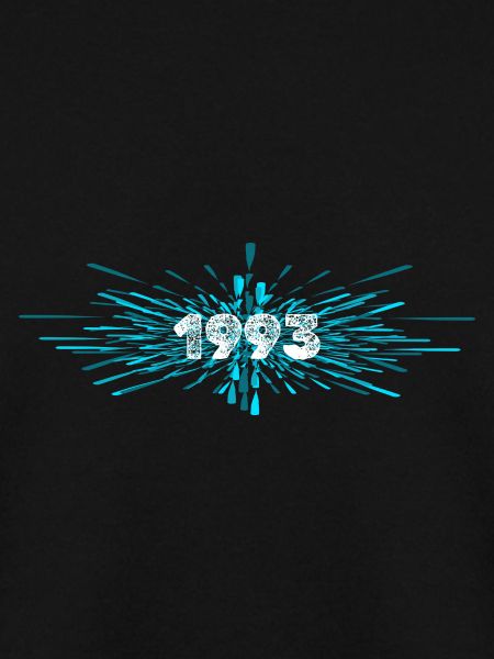 Year of construction 1993