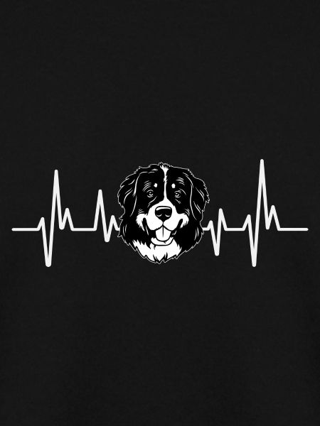Berner Sennenhund