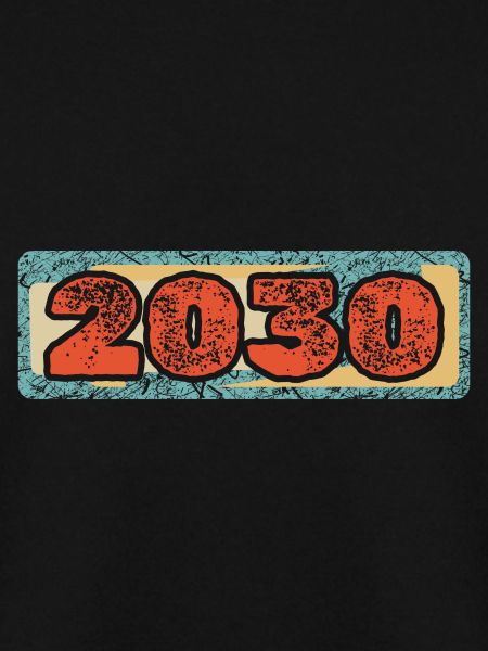 Year 2030