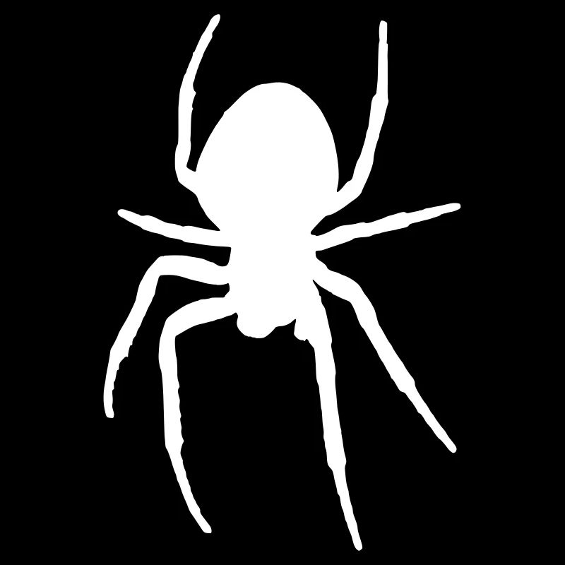 Araignée