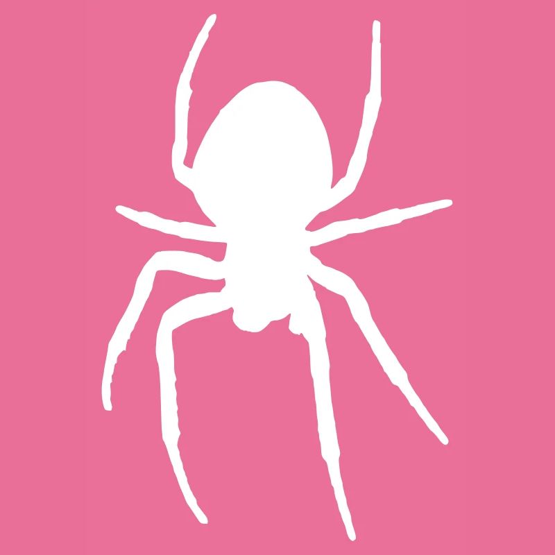 Araignée