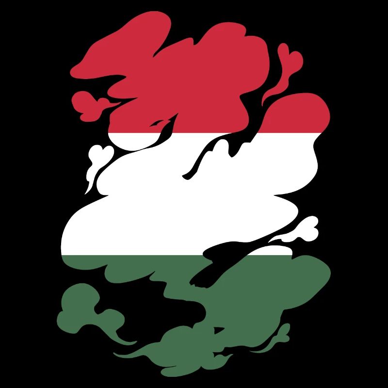 Hongrie Drapeau Hongrois Drapeau Balaton Hongrie