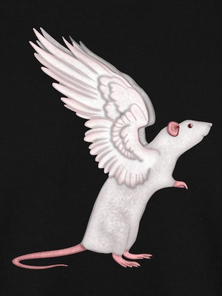 Ratte Engel