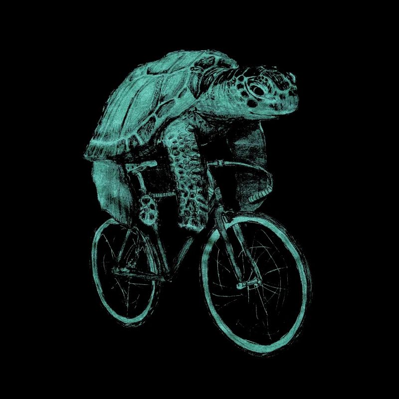 Turtle bicycle cyclist wheel
