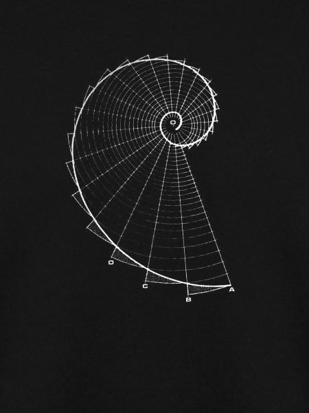 Fibonacci (Kreideoptik)