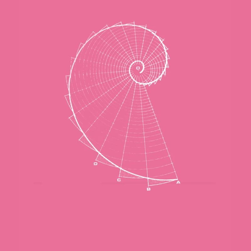 Fibonacci (Kreideoptik)