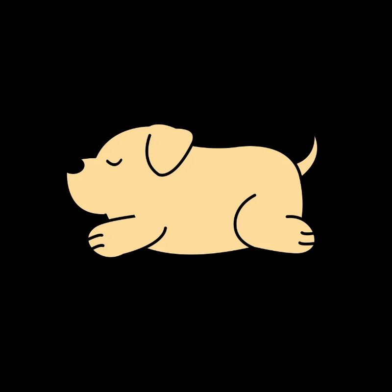 Chien cool