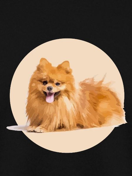 Red Spitz