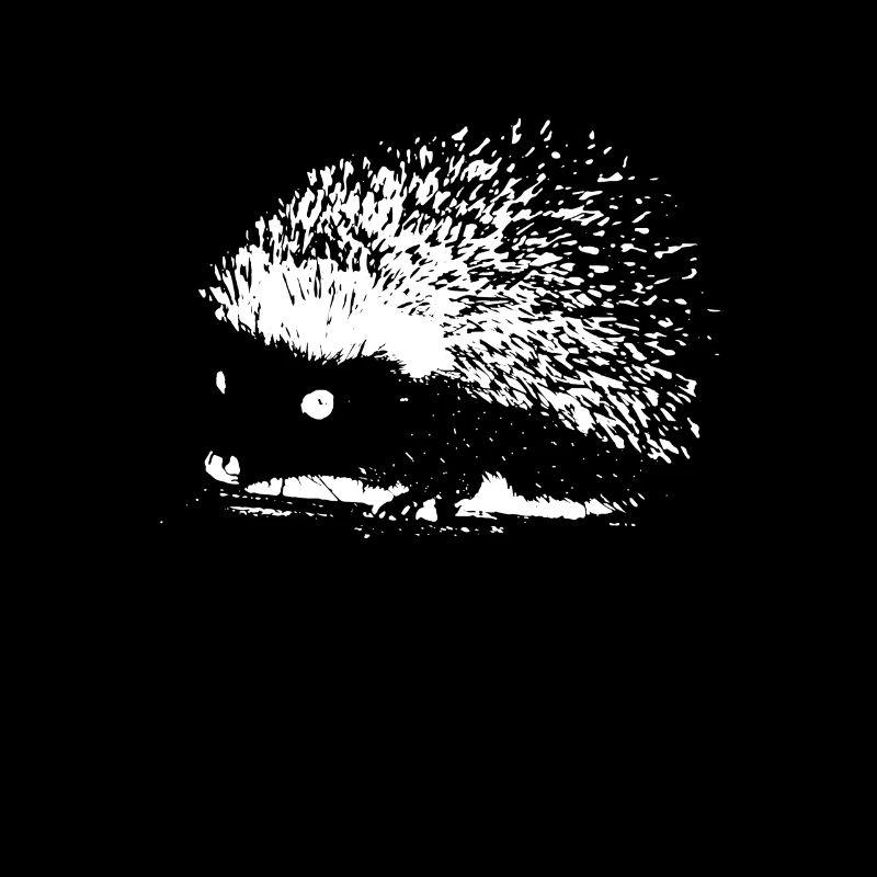 Hérissons Hedgehog