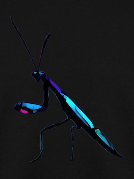 Bioluminescent Preying Mantis