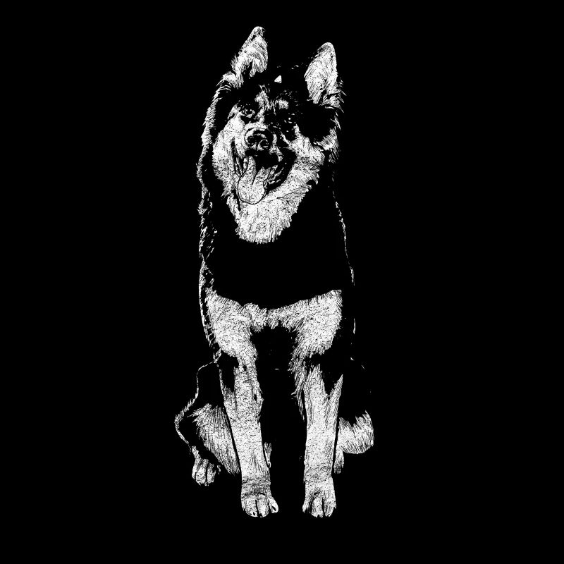 Bohemian Shepherd
