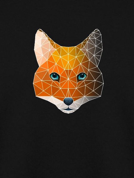 Polygon Geometrie Fuchs