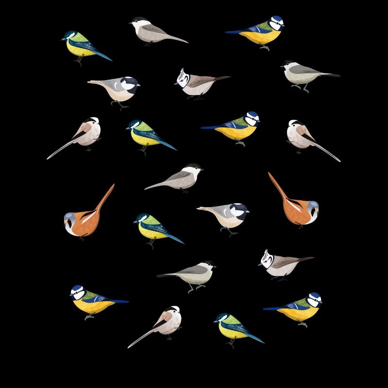 Illustrated Tit Birds | Cadeau d'observation des oiseaux