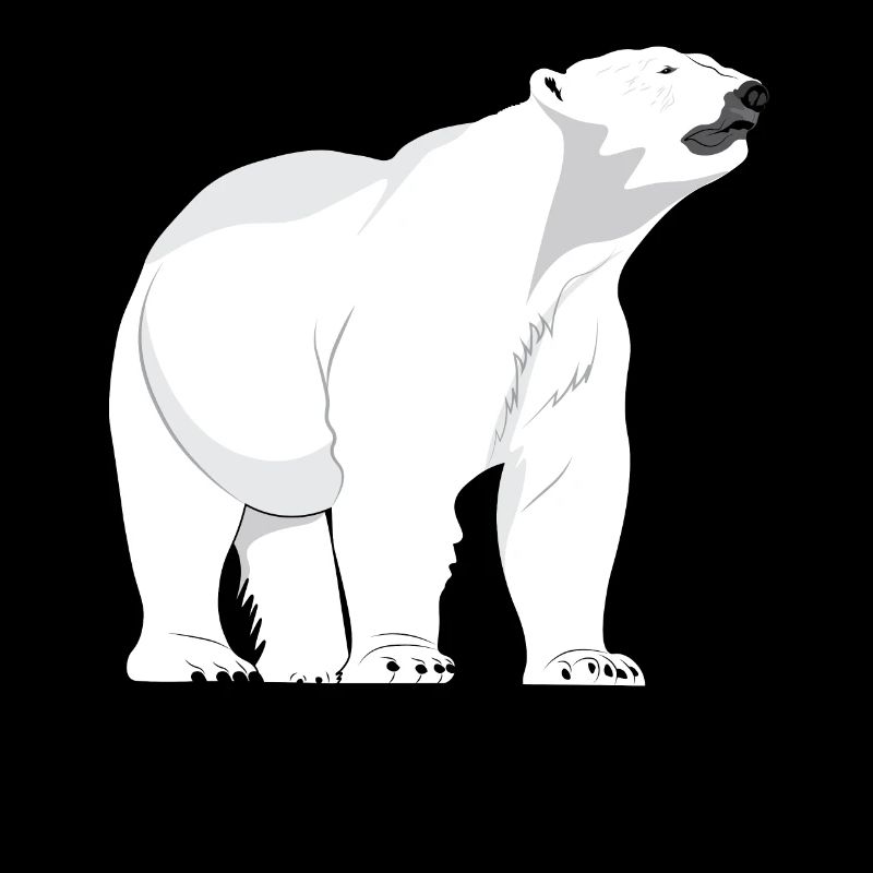 Polar bear polar bear
