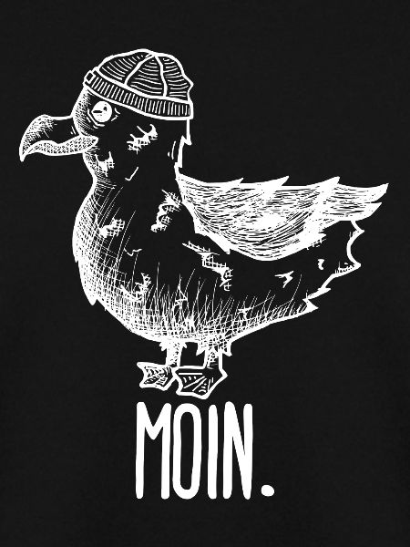 Möwe Moin
