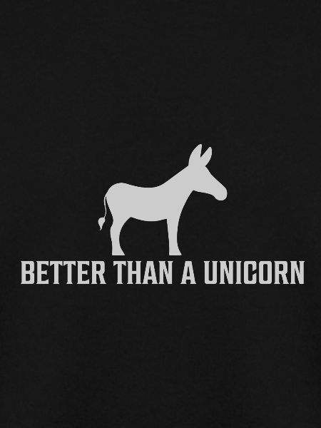 Esel Niedlich Einhorn